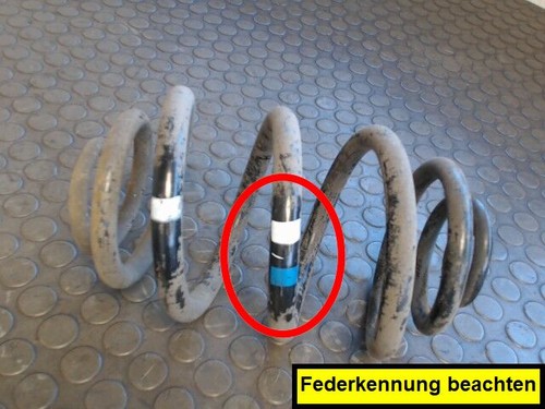 Hinterfeder links bmw - hinterfeder,